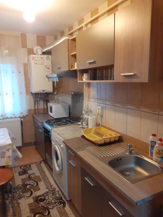 Ferienwohnung Garsoniera George Tîrgu Ocna Exterior foto